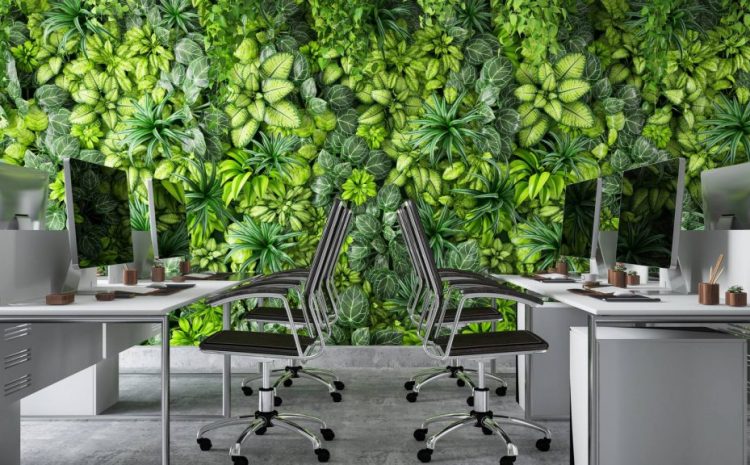  The Green Way: Why Sustainable Office Cleaning Matters